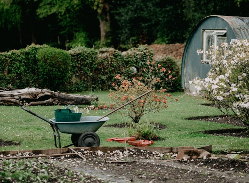 Brouette dans un jardin