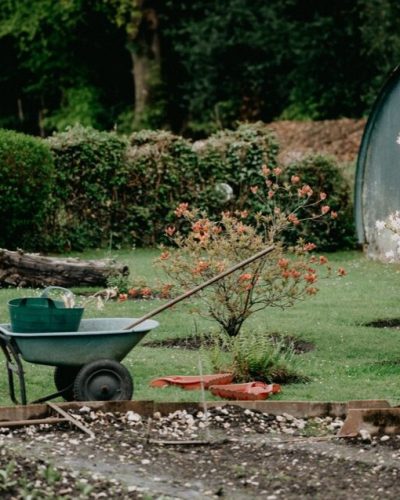 Brouette dans un jardin